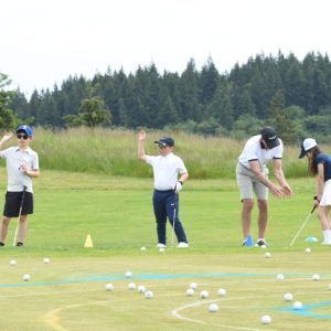 DCP-Clinic-Chipping-1024x683